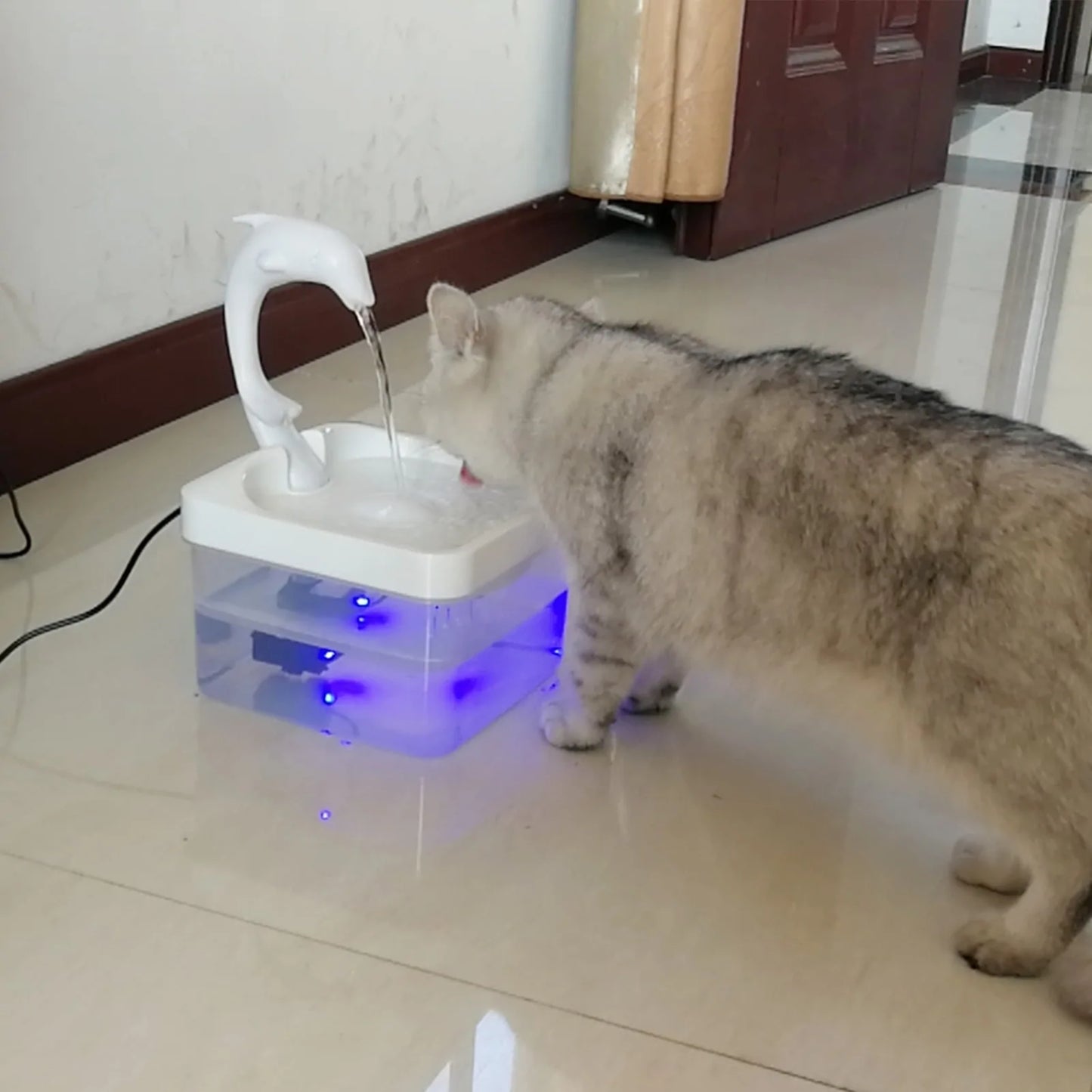 Fontaine à eau pour chat